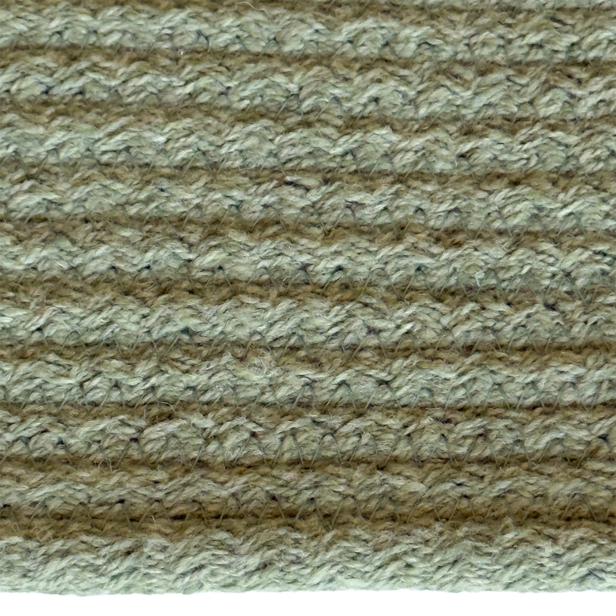 Chatham Palm Braided Rug Oval image