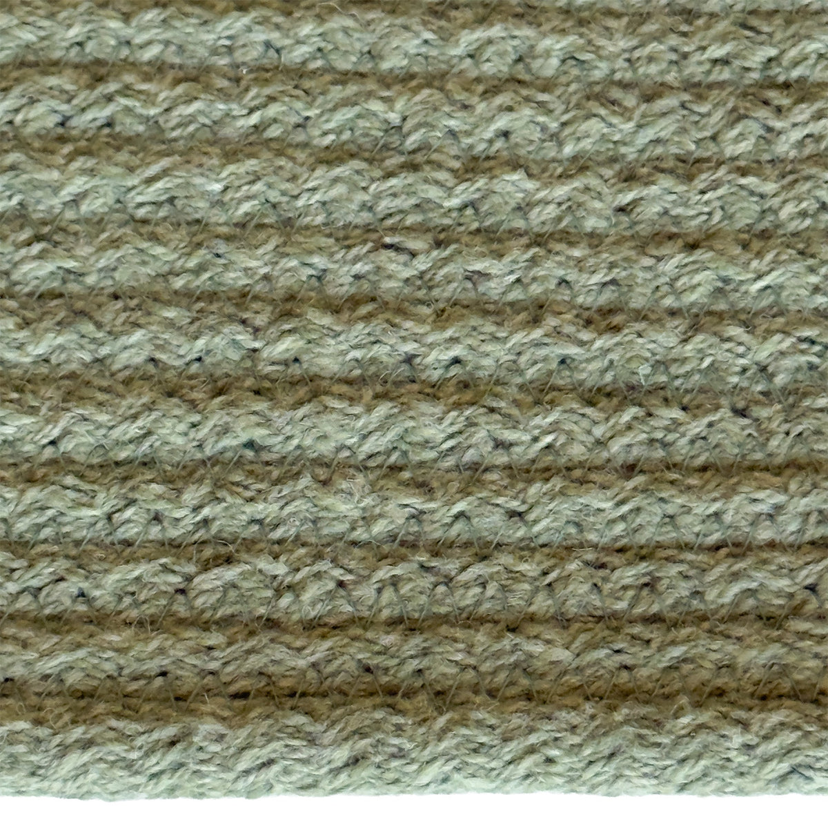 Chatham Palm Braided Rug Oval image