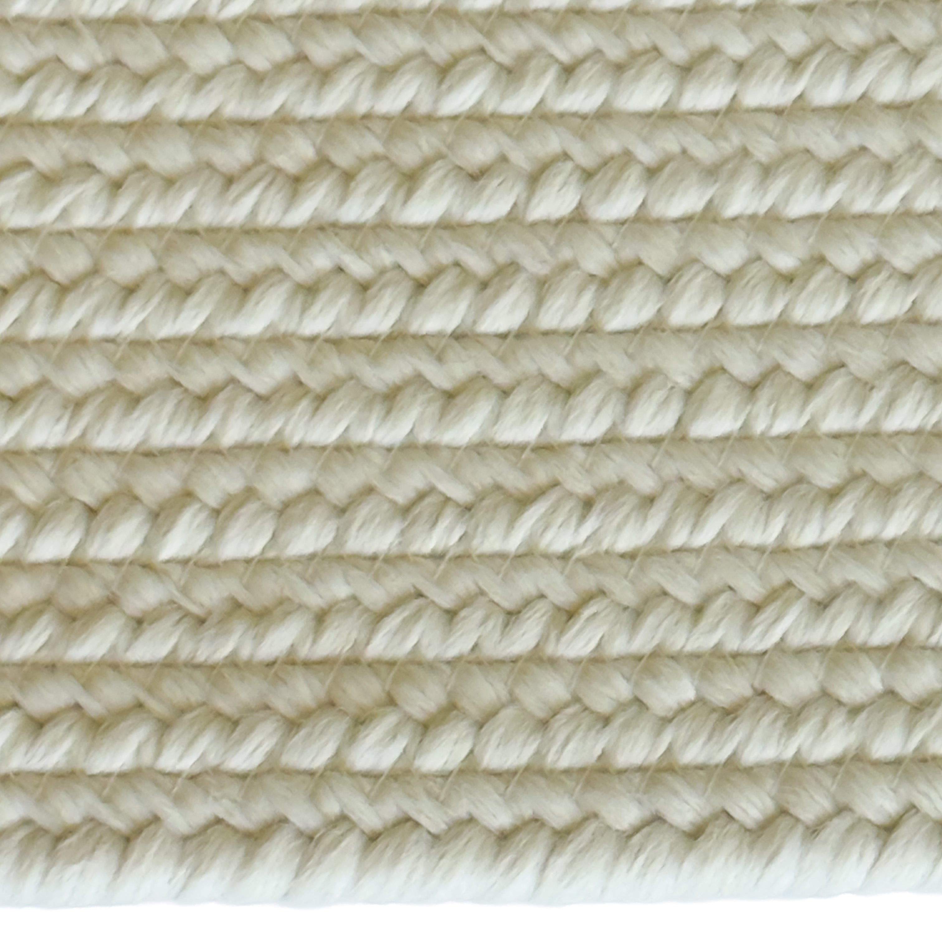 Shoreline Sand Dollar Braided Rug Oval image