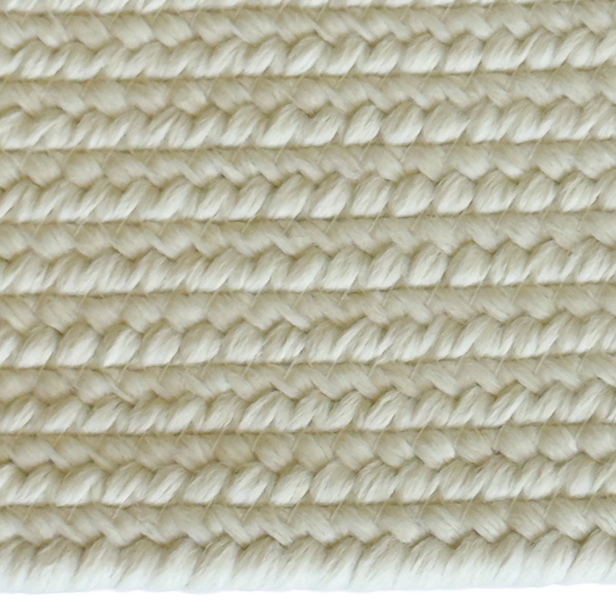 Shoreline Sand Dollar Braided Rug Oval image