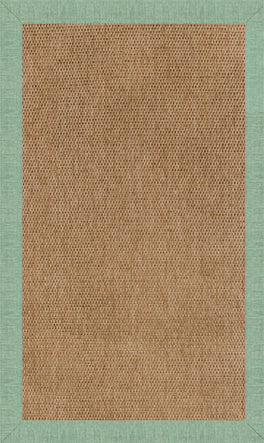 Islamorada-Basketweave Rave Spearmint Indoor/Outdoor Bordere Rectangle image
