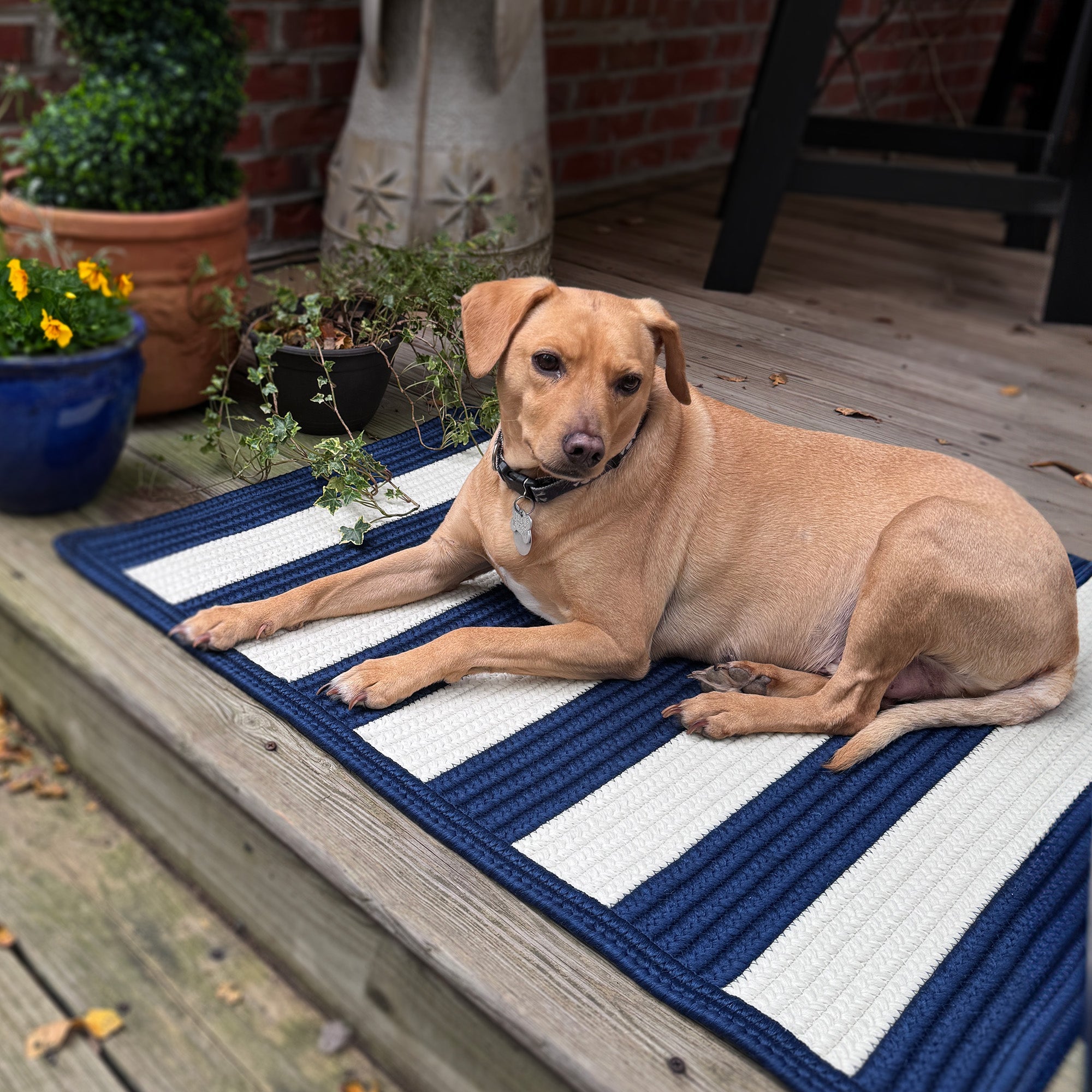 Timeless Navy Braided Rug Cross Sewn Rectangle image