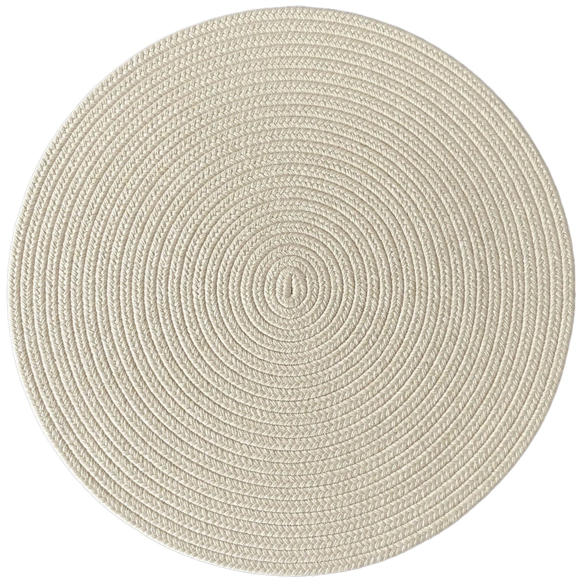 Shoreline Sand Dollar