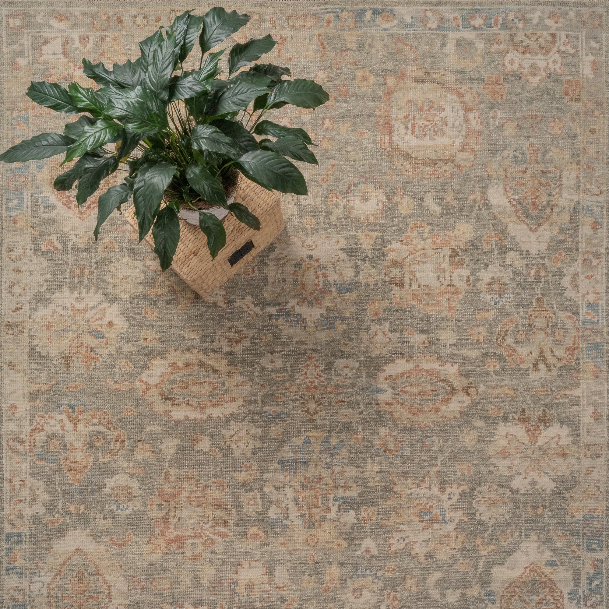 Braymore-Amara Cypress Gray Hand Knotted Rug Rectangle image