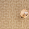 Elisa Sand Machine Woven Rug Rectangle Roomshot image