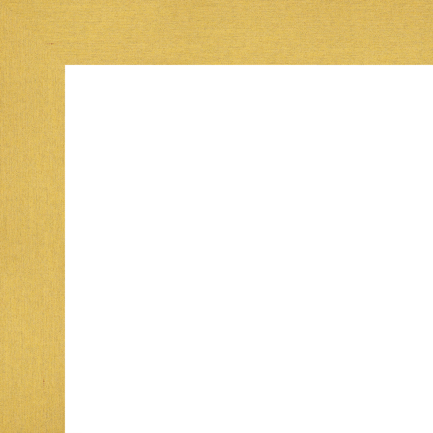customborderproductIOC