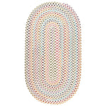 Dramatic Static Carnival Braided Rug Oval image
